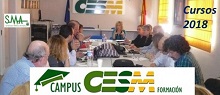 CCESMF